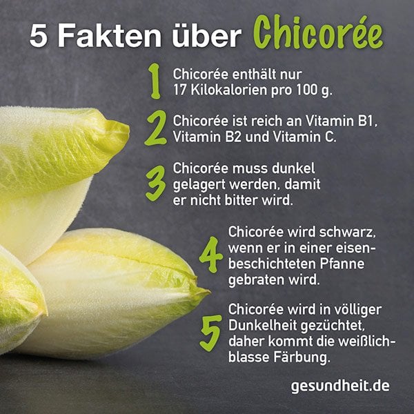 5 Fakten über Chicorée (Infografik)