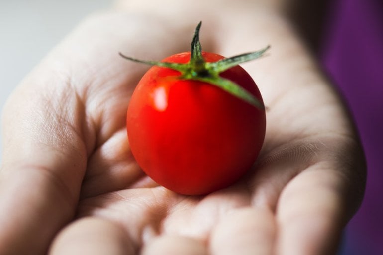 Tomaten essen: gut bei Gicht