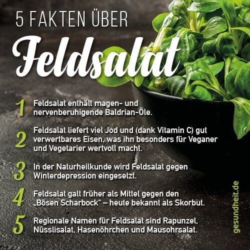 5 Fakten über Feldsalat (Infografik)