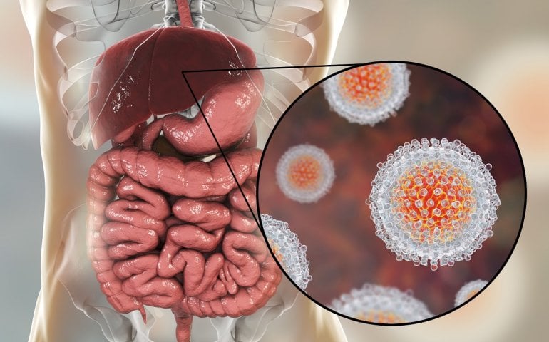 Hepatitis-Viren vor einer Leber (Illustration)