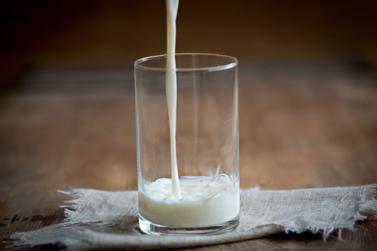 Milch: ungeeignet bei Laktoseintoleranz