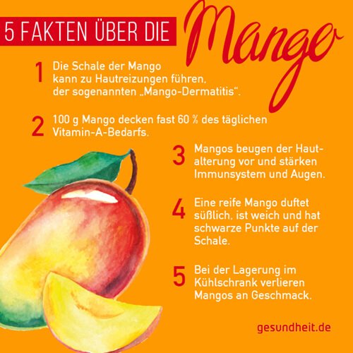 5 Fakten über die Mango (Infografik)