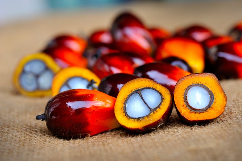 Palmöl aus Palmfrüchten
