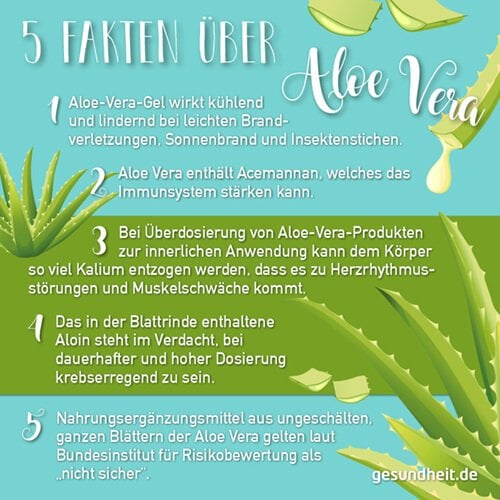 5 Fakten über Aloe vera (Infografik)