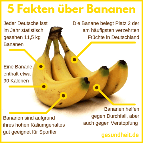 5 Fakten über Bananen (Infografik)