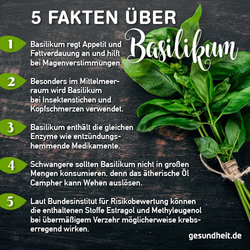 5 Fakten über Basilikum (Infografik)