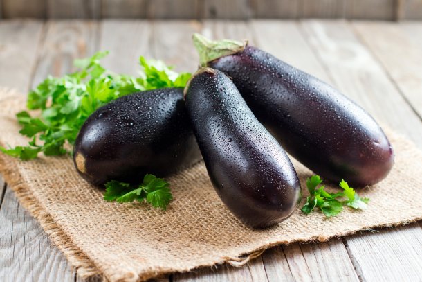 Auberginen: weniger Bitterstoffe als früher Auberginen: weniger Bitterstoffe als früher