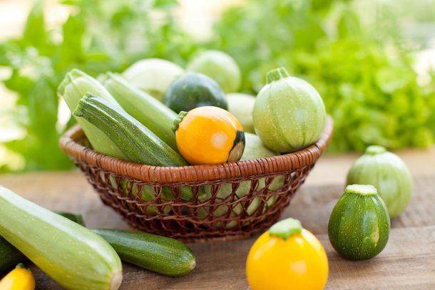 Vorsicht vor Bitterstoffen in Zucchini & Co. Vorsicht vor Bitterstoffen in Zucchini & Co.