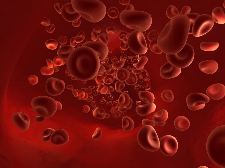 Blutzellen im Blutbild