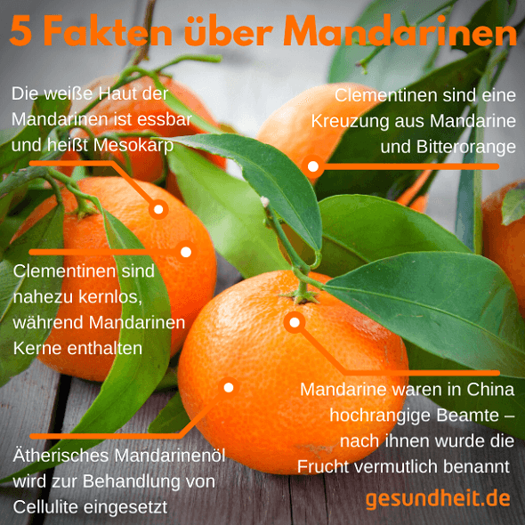 5 Fakten über Mandarinen (Infografik)