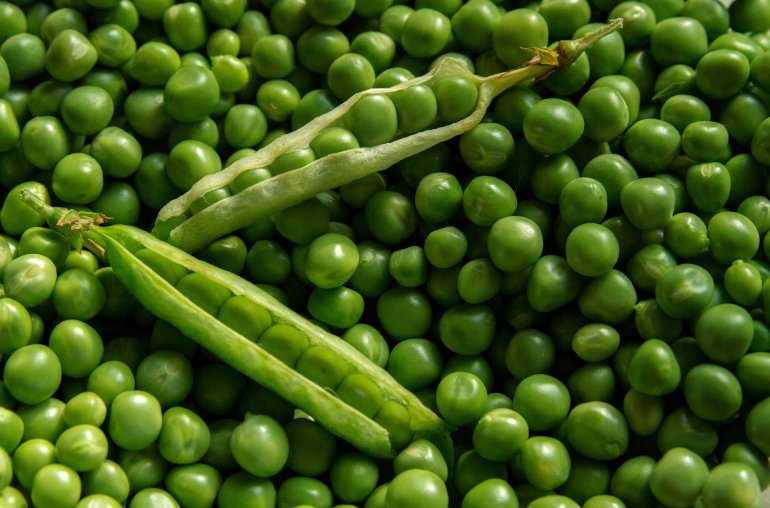 Erbsen