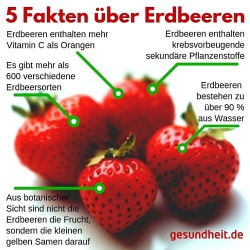 5 Fakten über Erdbeeren (Infografik)