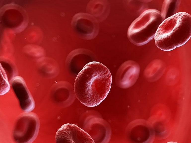 Erythrozyten (rote Blutkörperchen)