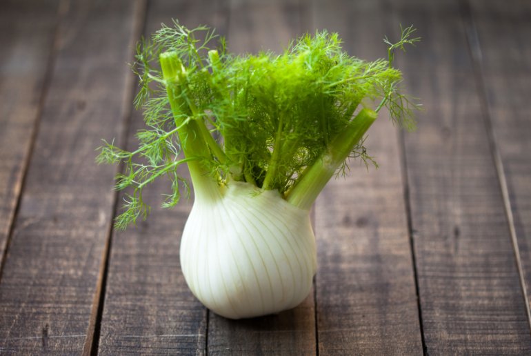 Fenchel