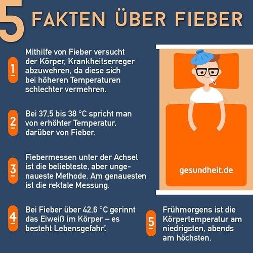 5 Fakten über Fieber (Infografik)
