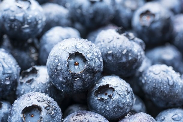 Heidelbeeren gegen freie Radikale Heidelbeeren gegen freie Radikale