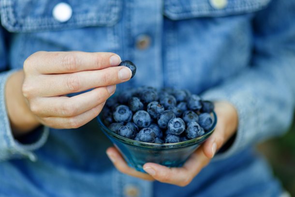 Blaubeeren: Superfood für das Gedächtnis Blaubeeren: Superfood für das Gedächtnis