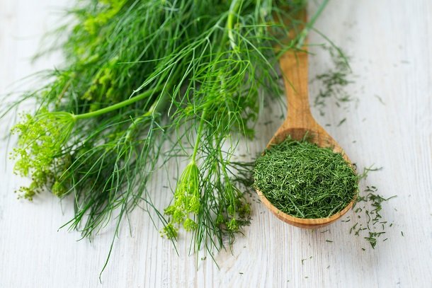 Dill Dill