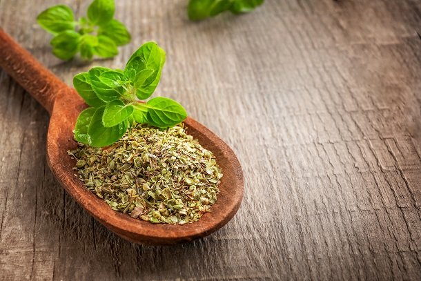 Oregano Oregano