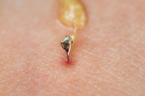 Bienenstich Bienenstich