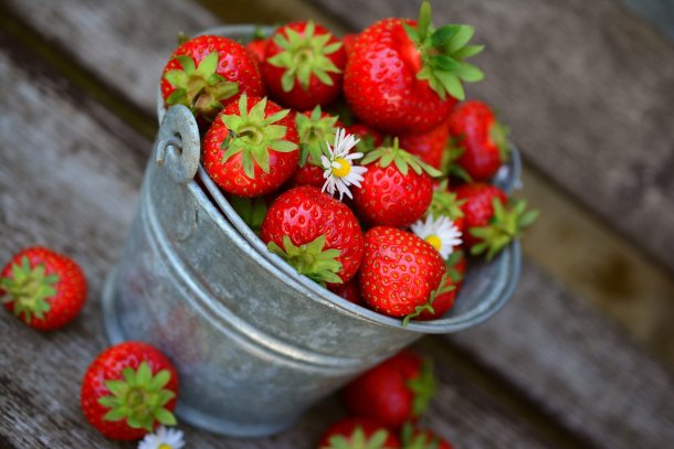 Kalorienarme Erdbeeren