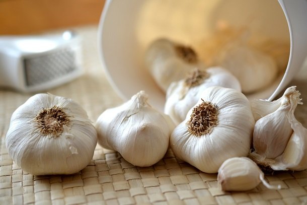 Knoblauch Knoblauch