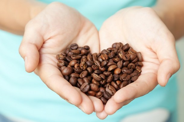 Kaffeebohnen kauen Kaffeebohnen kauen