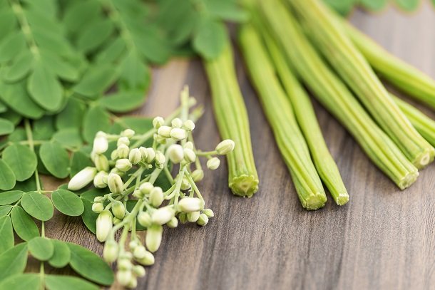 Moringa