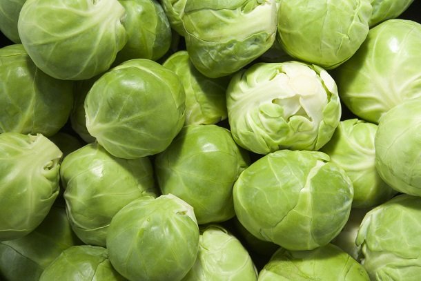 Rosenkohl Rosenkohl