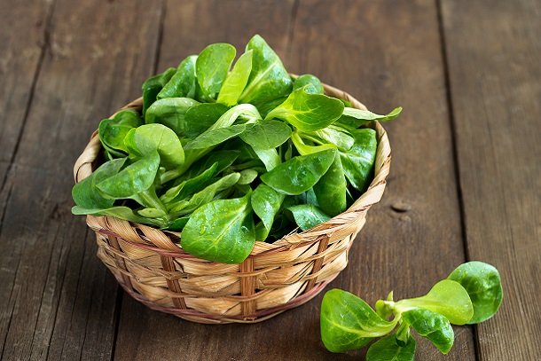 Feldsalat Feldsalat