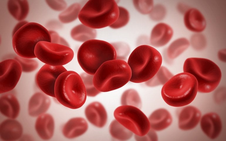 Hämoglobin und rote Blutkörperchen (Illustration)