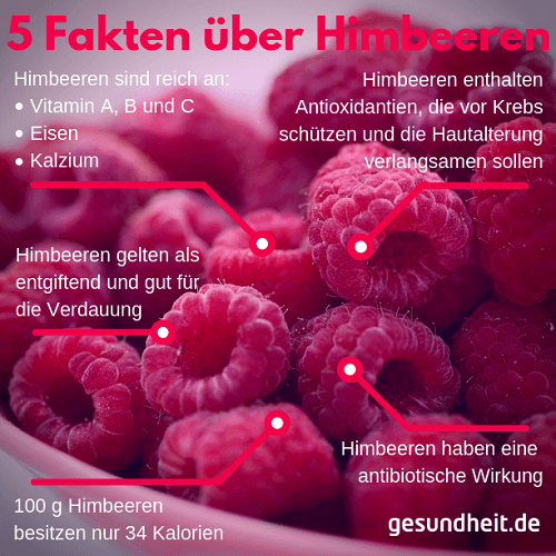 5 Fakten über Himbeeren (Infografik)