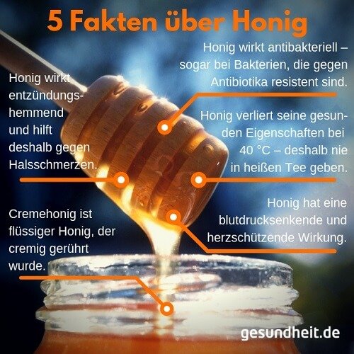 5 Fakten über Honig (Infografik)