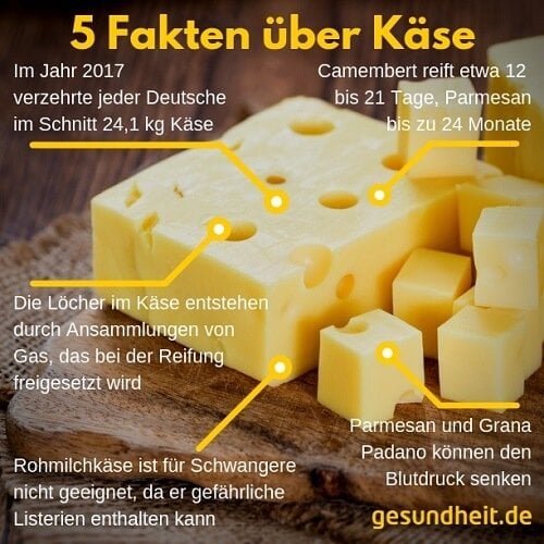 5 Fakten über Käse (Infografik)
