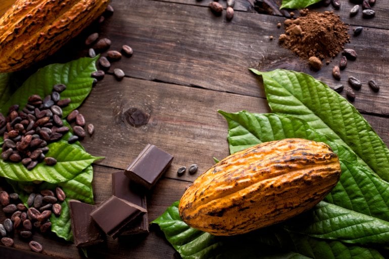 Kakaobohnen, Kakaofrucht und Schokolade