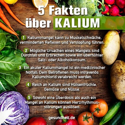 5 Fakten über Kalium (Infografik)