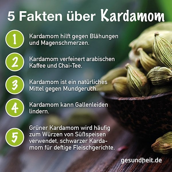 5 Fakten über Kardamom (Infografik)