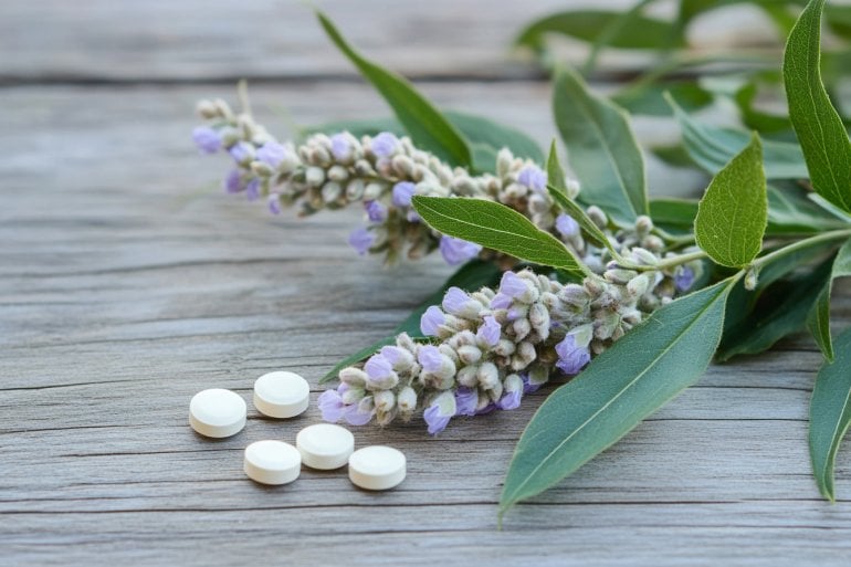 Mönchspfeffer-Pflanze und Tabletten auf einem Tisch