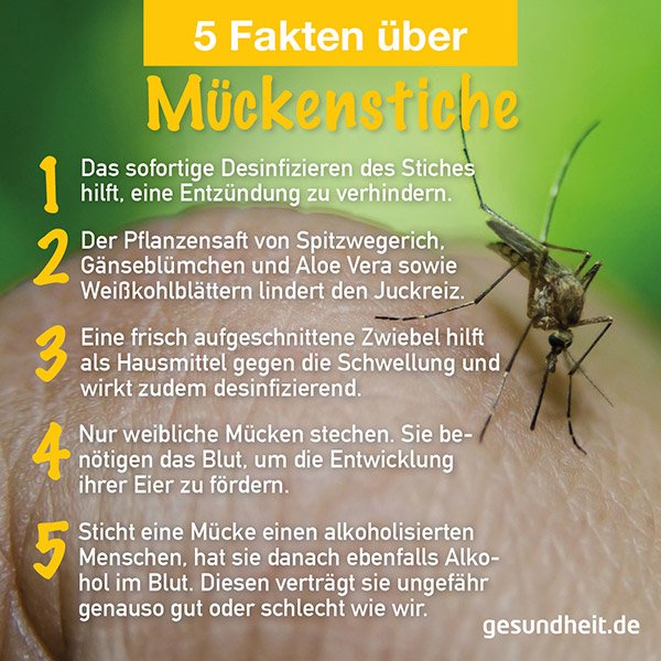 5 Fakten über Mückenstiche (Infografik)