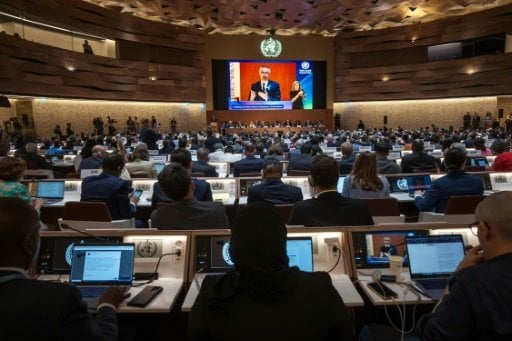 AFP-News-Bild
