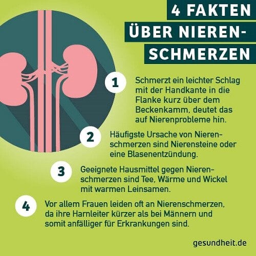 4 Fakten über Nierenschmerzen (Infografik)