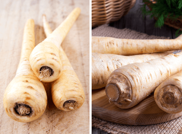 Pastinake und Petersilienwurzel im Vergleich (Unterschied)