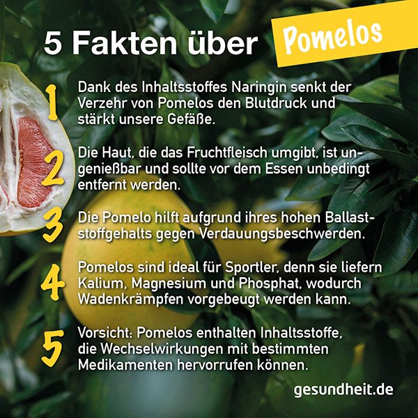 5 Fakten über Pomelos (Infografik)