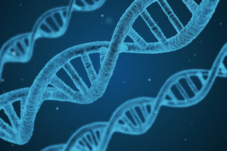 DNA – Progerie