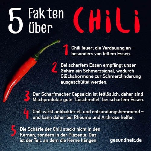 5 Fakten über Chili (Infografik)
