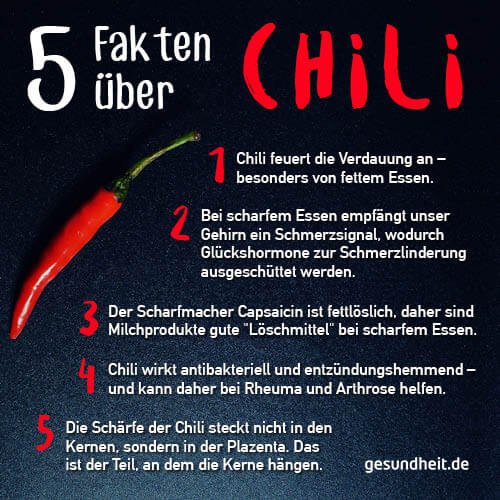 5 Fakten über Chili (Infografik)