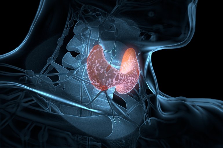 Anatomisches Bild einer Entzündung der Schilddrüse