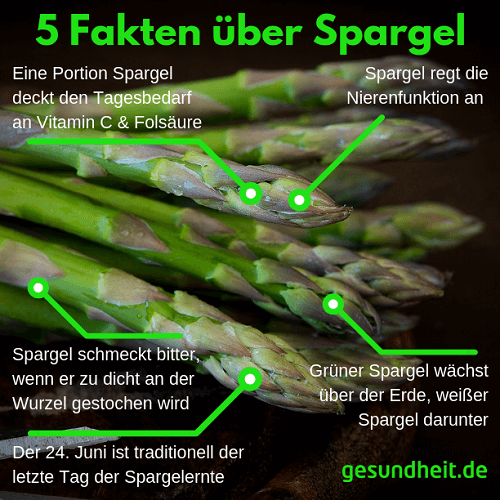 5 Fakten über Spargel (Infografik)