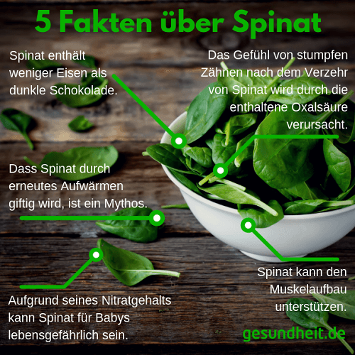 5 Fakten über Spinat (Infografik)