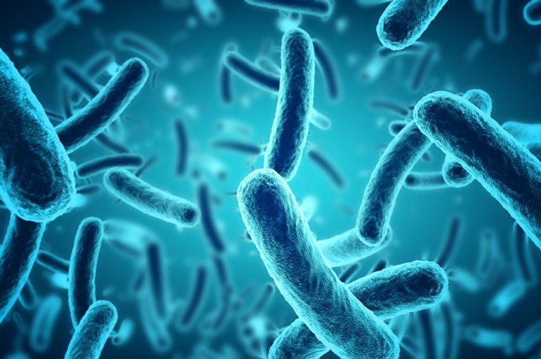Bakterien als Erreger von Infektionskrankheiten